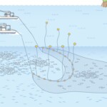 船引き網漁 漁法船引き網漁