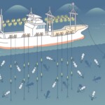 イカ釣漁 漁法イカ釣漁