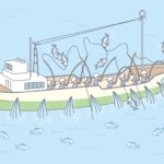 カツオ一本釣漁 漁法カツオ一本釣漁