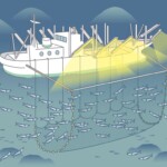 サンマ棒受網漁 漁法サンマ棒受網漁