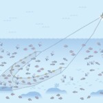 底引き網漁 漁法底引き網漁