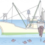 その他の網漁 漁法その他の網漁